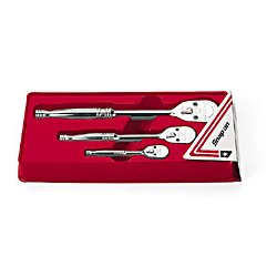 Skralden&oslash;gle s&aelig;t